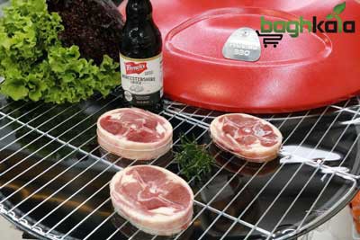 باربیکیو و آتشدان ذغالی پارمیس